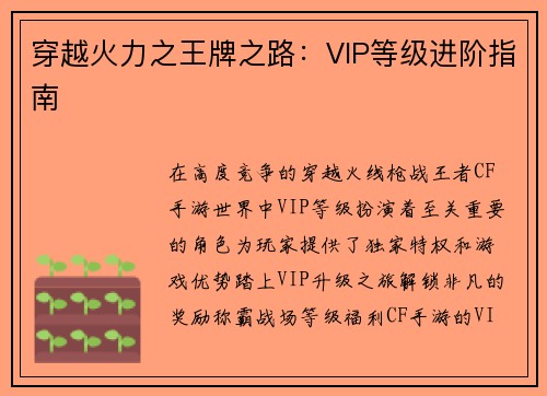 穿越火力之王牌之路：VIP等级进阶指南